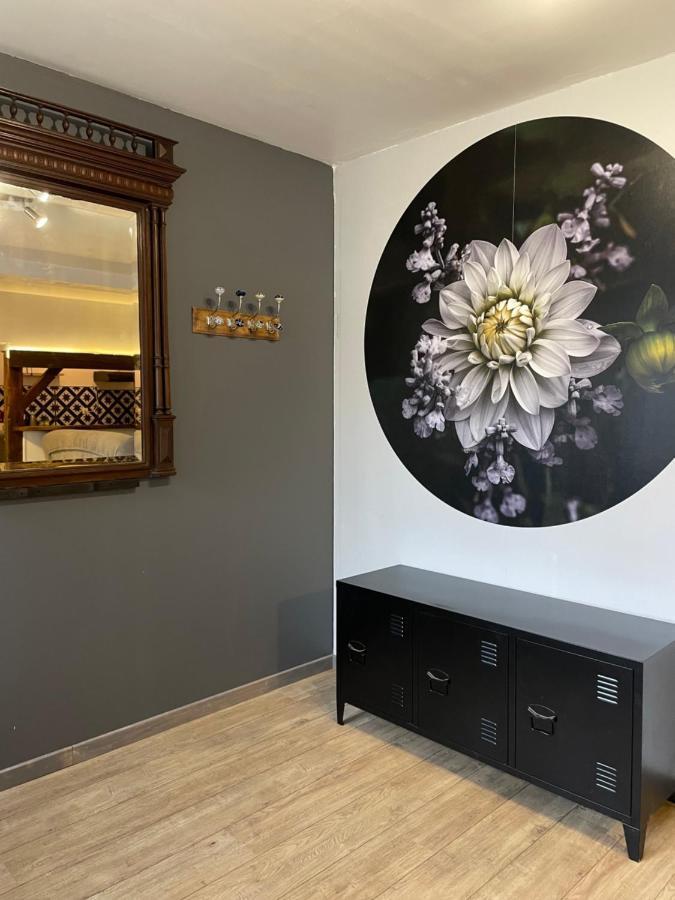 Le Dahlia, 5 Mn De Beauval Villa แซ็ง-เตญ็อง ภายนอก รูปภาพ